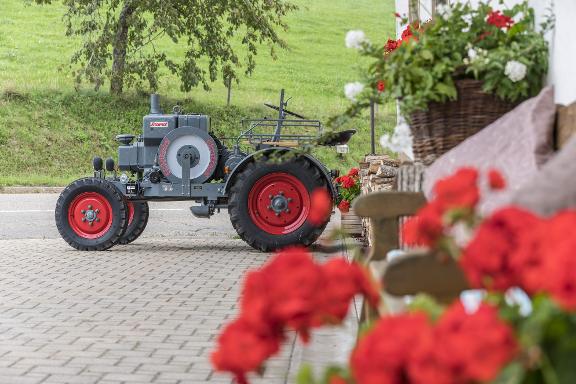 Oltimer Traktor vor roten Geranien