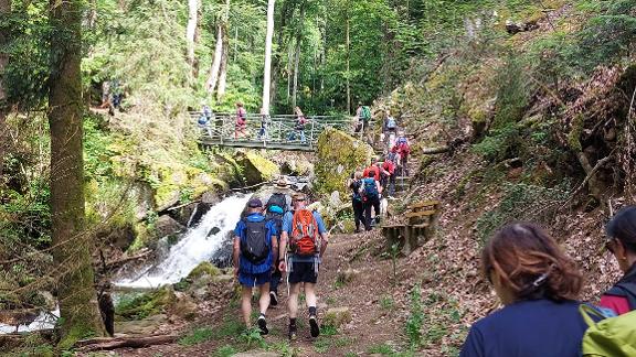 Wandergruppe im Wald